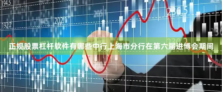 正规股票杠杆软件有哪些中行上海市分行在第六届进博会期间