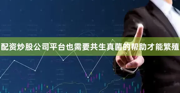 配资炒股公司平台也需要共生真菌的帮助才能繁殖