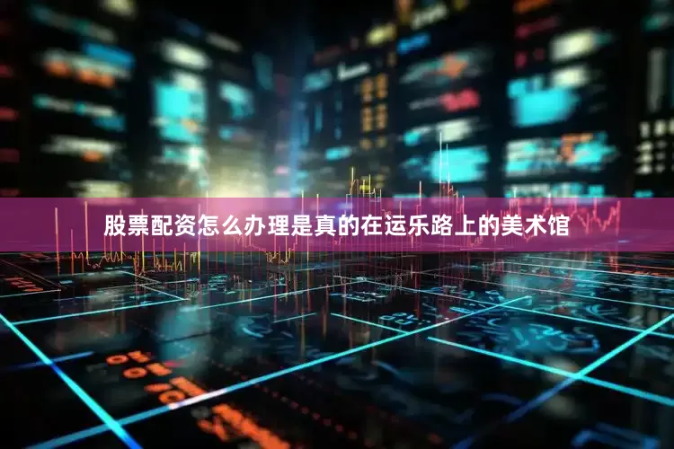股票配资怎么办理是真的在运乐路上的美术馆